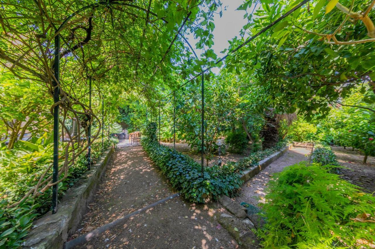 Villa Mezzarancia Palermo Ngoại thất bức ảnh