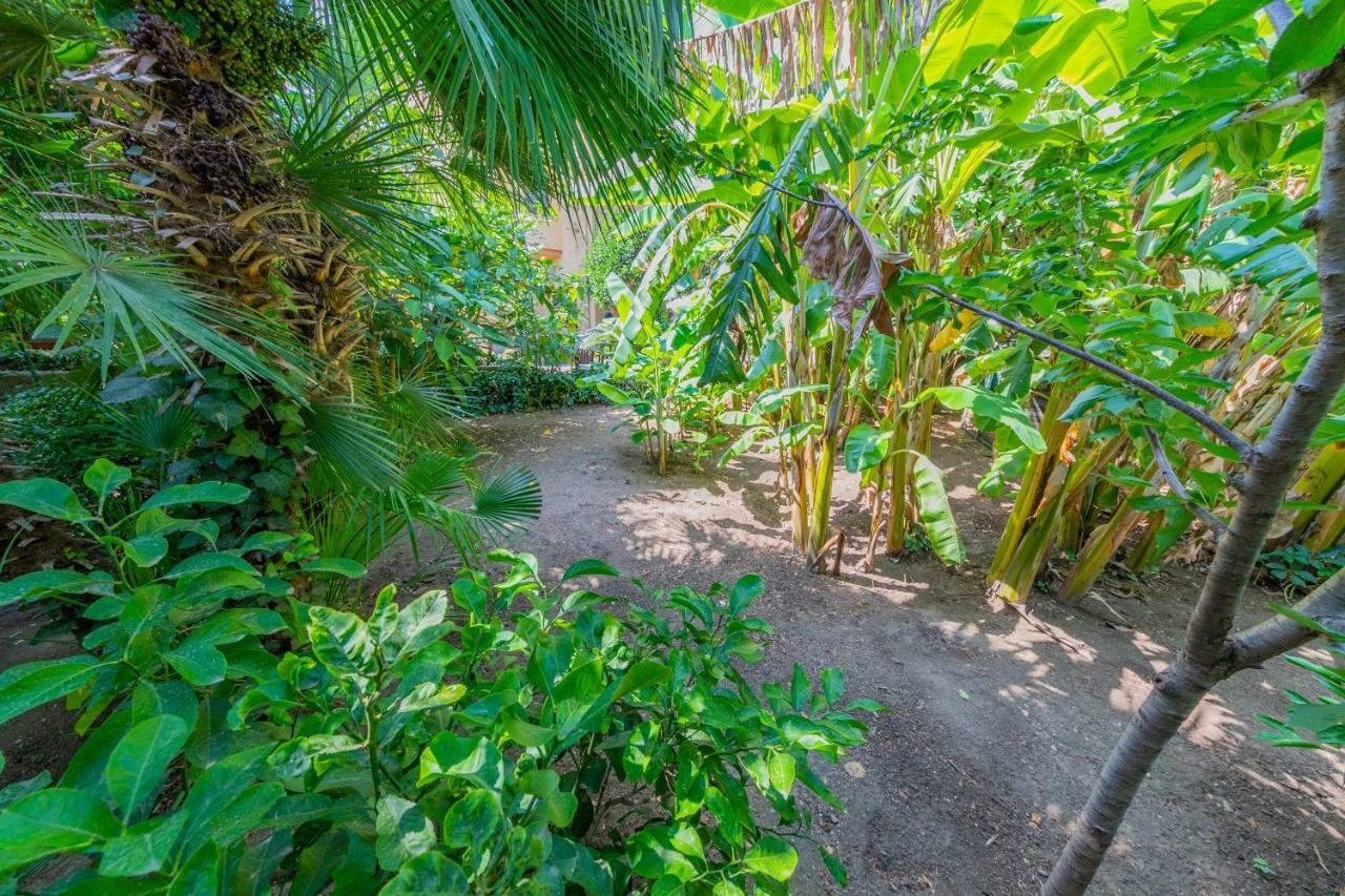 Villa Mezzarancia Palermo Ngoại thất bức ảnh